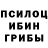 Галлюциногенные грибы MAGIC MUSHROOMS Alexandr Tarutin