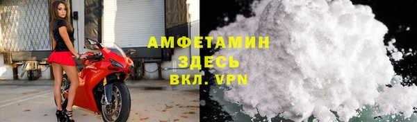 сатива Бородино