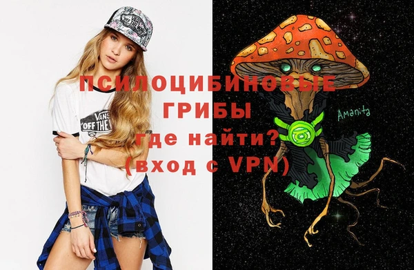 сатива Верея